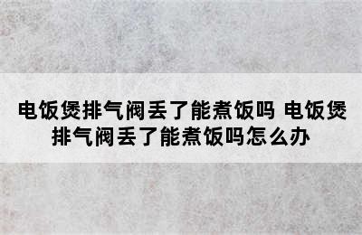 电饭煲排气阀丢了能煮饭吗 电饭煲排气阀丢了能煮饭吗怎么办